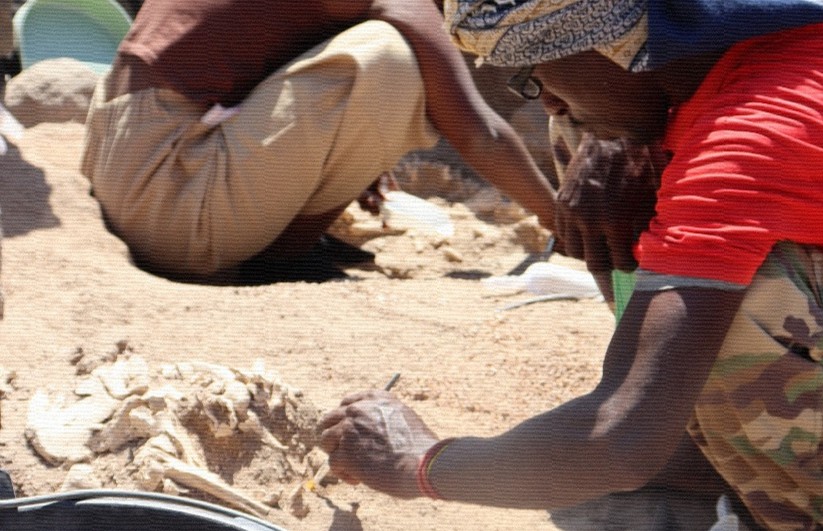 20250314_afrique_anthropo_vignette