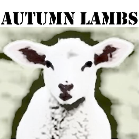 20250418_ANR_Lamb