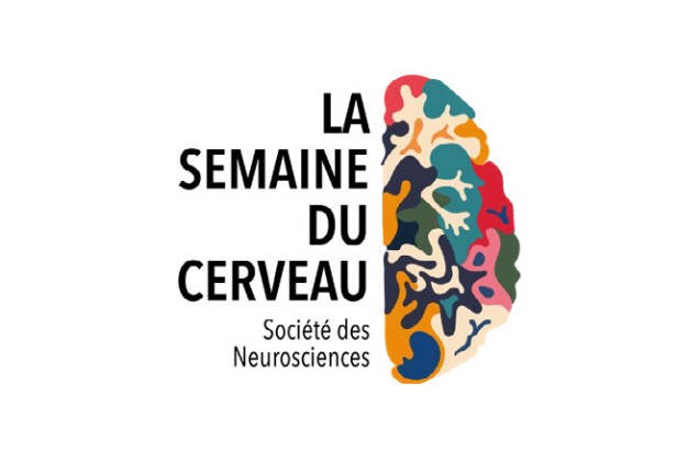 20250212_SHarmand_semaine_cerveau
