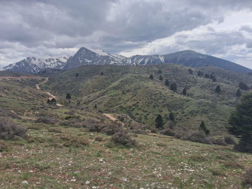 MontEVRA 03